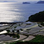 棚田の風景