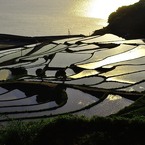 棚田に架かる光