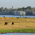 The Nile⑤