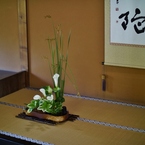 Rokkaen and Mr,Moroto's Park in Kuwana C