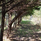 小さな散歩道