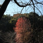 IMG_8616