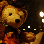 2013.10　TDS