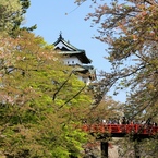 『弘前公園』９