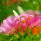 華やかに