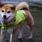 にっこり笑顔