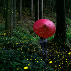 雨姫 *2