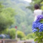 あじさいの駅