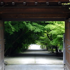 東福寺