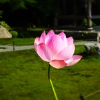 三千院・他