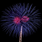 夜空の二輪花