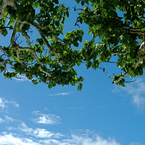 青空