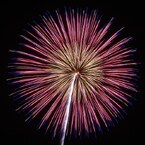 夜空の華-22