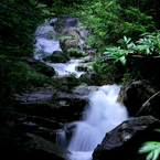 屋久島⑩