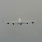 離陸（233）NCA 747-8F Vapour