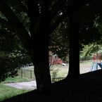 DSC02463