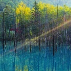 朝光