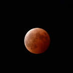 BLOOD MOON