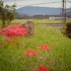 心の原風景を探して