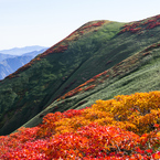 彩りの山