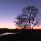 夕焼けと河川