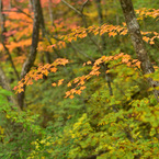 13-DSC_0283