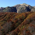 越後駒ヶ岳　錦秋