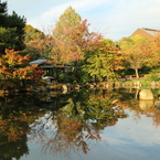 円山公園（京都）