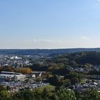 DSC_1590