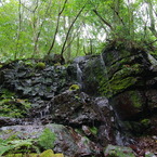 IMGP4724