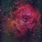 光害地で撮る天体 - 薔薇星雲