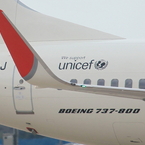 JAL B737-800