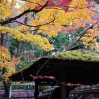 koto-in kyoto