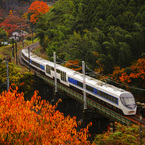 黄葉列車