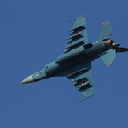 F-2のお腹