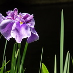 P6090614