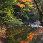 水面に映る紅葉