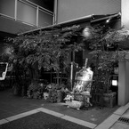 kagurazaka_06