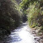 廃道2