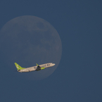 with Moon