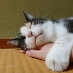 元気です　その２