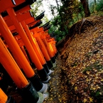 冬の参道