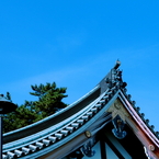 蒼天