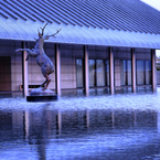 佐川美術館　水庭