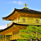 望み、、、