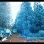 infrared landscape 5