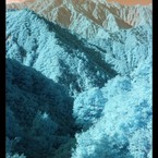 infrared landscape 6
