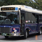 レトロバス（スカイライト号）