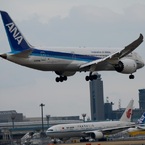 ANA 787-8 到着