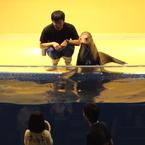 うまく投げてね♪